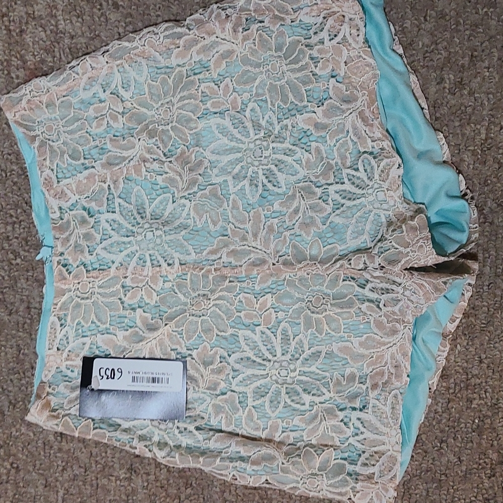 Womans/Juniors Mint & Blush Shorts Sz Small